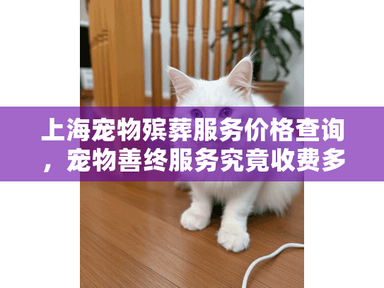 上海宠物殡葬服务价格查询，宠物善终服务究竟收费多少？