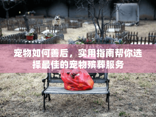 宠物如何善后，实用指南帮你选择最佳的宠物殡葬服务