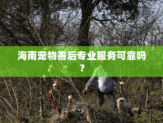 海南宠物善后专业服务可靠吗？