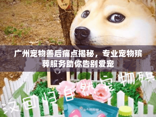 广州宠物善后痛点揭秘，专业宠物殡葬服务助你告别爱宠