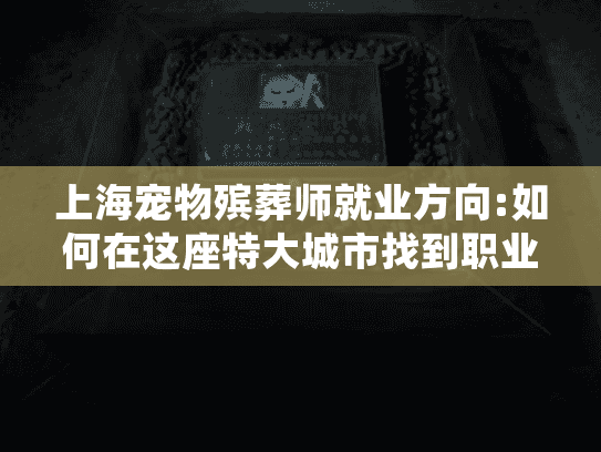 上海宠物殡葬师就业方向:如何在这座特大城市找到职业归属