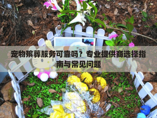 宠物殡葬服务可靠吗？专业提供商选择指南与常见问题