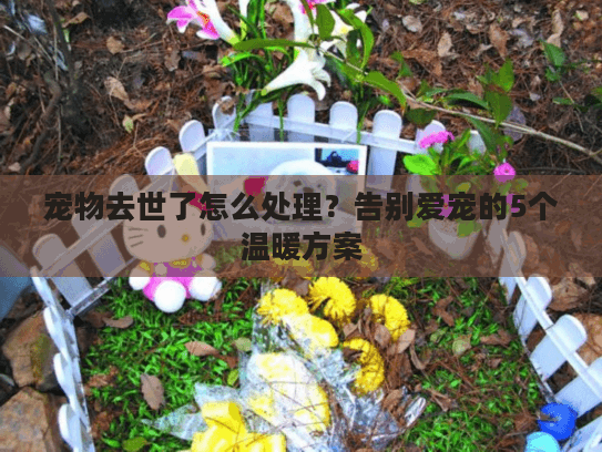 宠物去世了怎么处理？告别爱宠的5个温暖方案