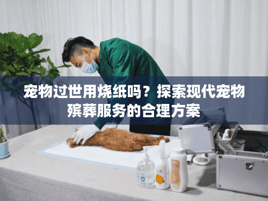 宠物过世用烧纸吗？探索现代宠物殡葬服务的合理方案