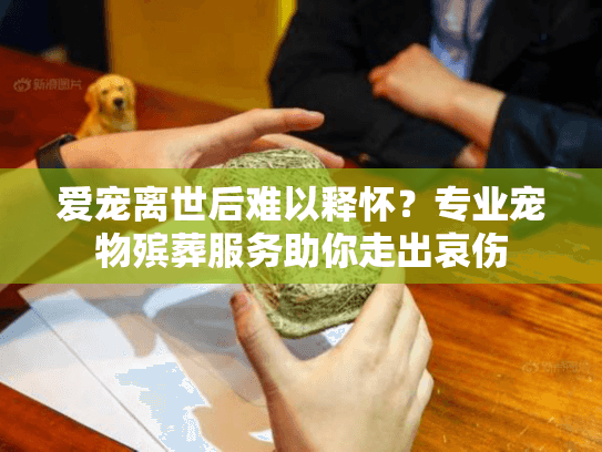 爱宠离世后难以释怀？专业宠物殡葬服务助你走出哀伤