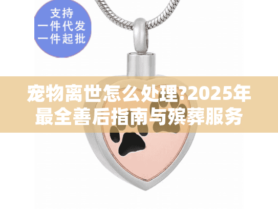 宠物离世怎么处理?2025年最全善后指南与殡葬服务选择