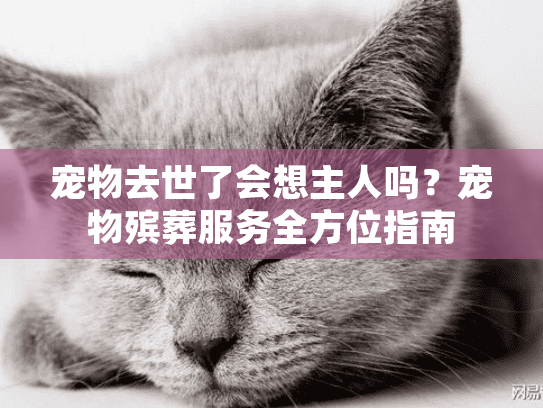 宠物去世了会想主人吗？宠物殡葬服务全方位指南