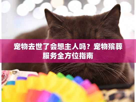 宠物去世了会想主人吗？宠物殡葬服务全方位指南