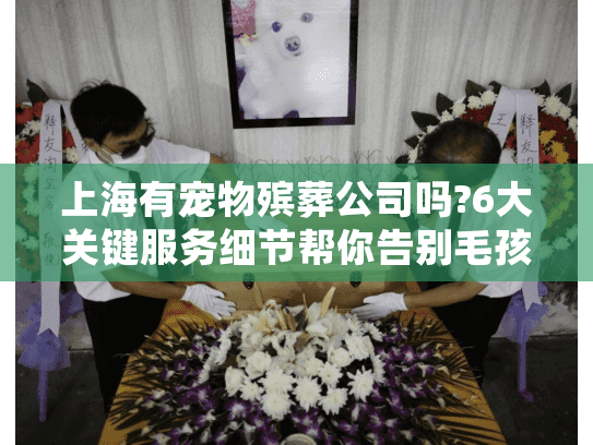 上海有宠物殡葬公司吗?6大关键服务细节帮你告别毛孩子