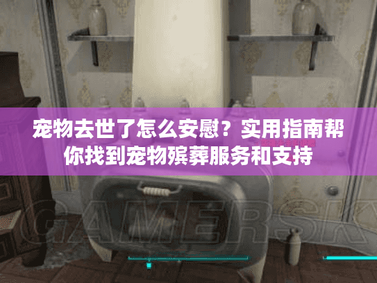 宠物去世了怎么安慰？实用指南帮你找到宠物殡葬服务和支持