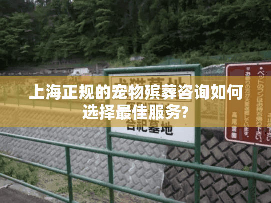 上海正规的宠物殡葬咨询如何选择最佳服务?