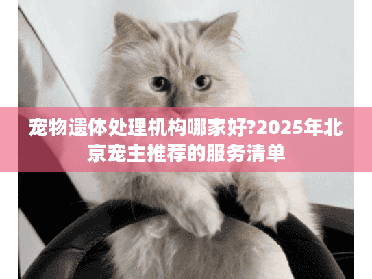 宠物遗体处理机构哪家好?2025年北京宠主推荐的服务清单