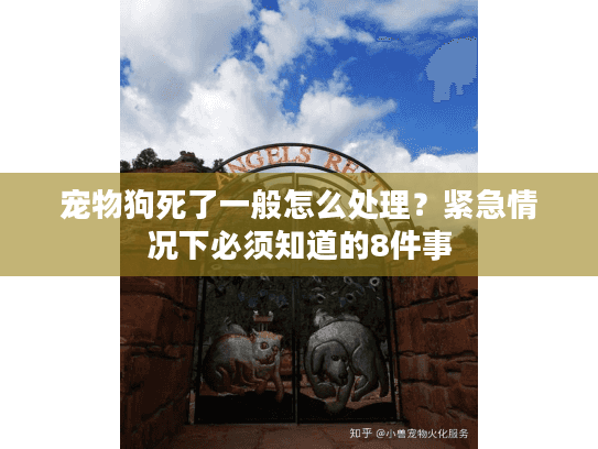 宠物狗死了一般怎么处理？紧急情况下必须知道的8件事