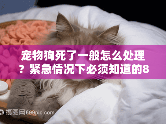 宠物狗死了一般怎么处理？紧急情况下必须知道的8件事