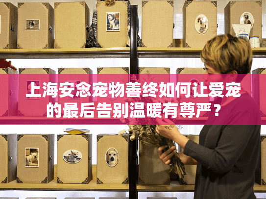 上海安念宠物善终如何让爱宠的最后告别温暖有尊严？