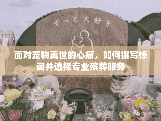 面对宠物离世的心痛，如何撰写悼词并选择专业殡葬服务