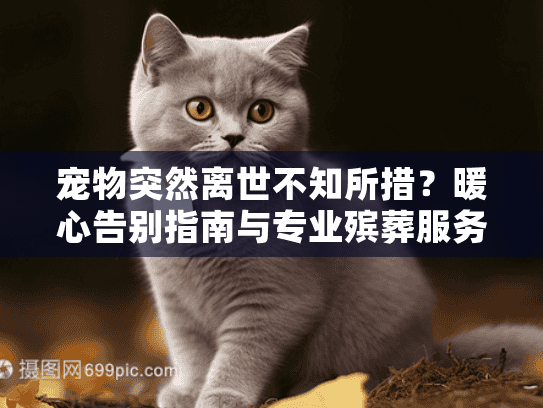 宠物突然离世不知所措？暖心告别指南与专业殡葬服务推荐