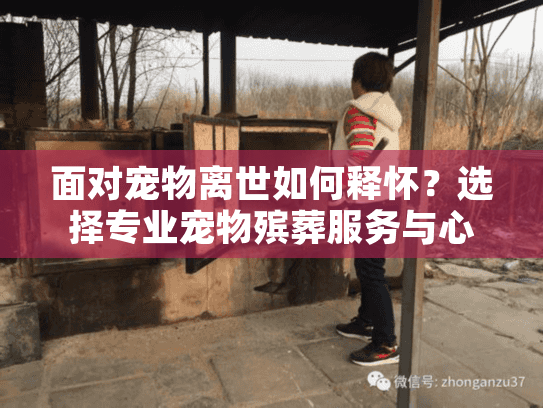 面对宠物离世如何释怀？选择专业宠物殡葬服务与心理辅导