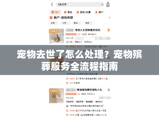 宠物去世了怎么处理？宠物殡葬服务全流程指南