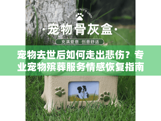 宠物去世后如何走出悲伤？专业宠物殡葬服务情感恢复指南