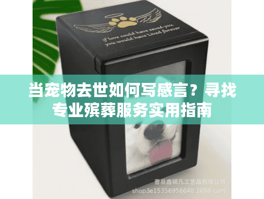 当宠物去世如何写感言?寻找专业殡葬服务实用指南 当宠物去世如何写感言?寻找专业殡葬服务实用指南