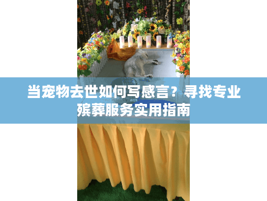 当宠物去世如何写感言?寻找专业殡葬服务实用指南 当宠物去世如何写感言?寻找专业殡葬服务实用指南