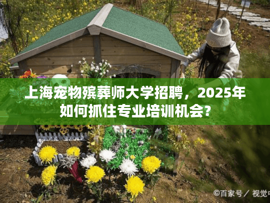 上海宠物殡葬师大学招聘，2025年如何抓住专业培训机会？