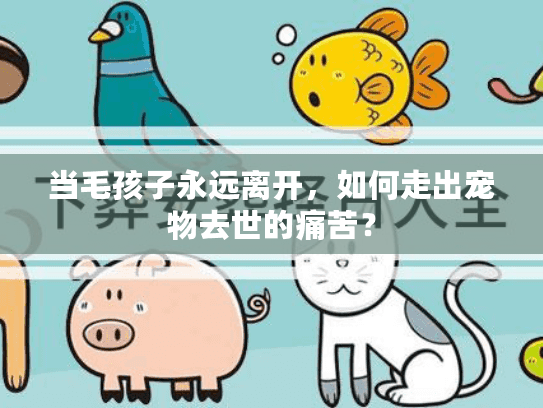 当毛孩子永远离开，如何走出宠物去世的痛苦？