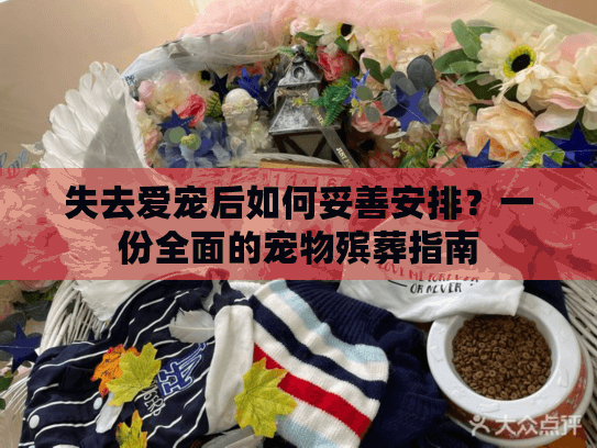 失去爱宠后如何妥善安排？一份全面的宠物殡葬指南
