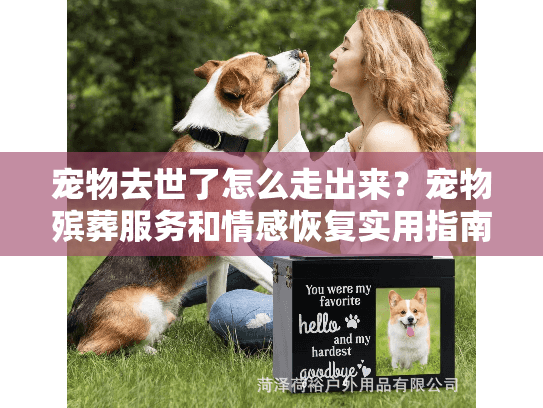宠物去世了怎么走出来？宠物殡葬服务和情感恢复实用指南