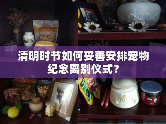 清明时节如何妥善安排宠物纪念离别仪式？