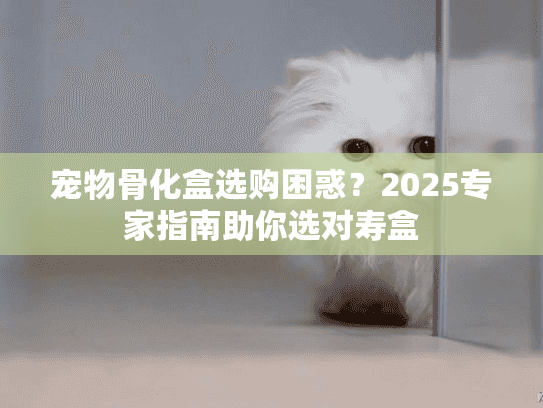 宠物骨化盒选购困惑？2025专家指南助你选对寿盒