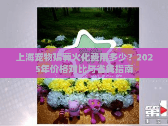 上海宠物殡葬火化费用多少？2025年价格对比与省钱指南
