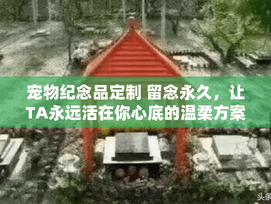 宠物纪念品定制 留念永久，让TA永远活在你心底的温柔方案