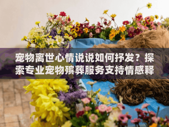宠物离世心情说说如何抒发？探索专业宠物殡葬服务支持情感释放