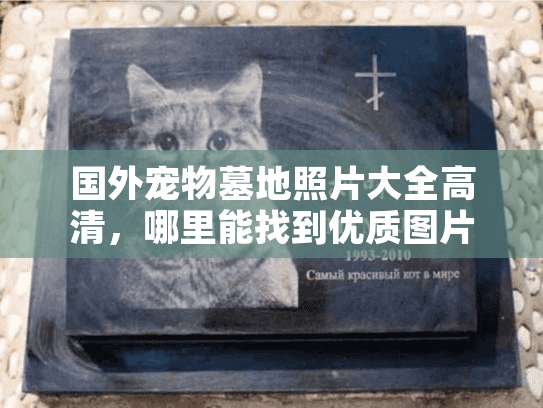 国外宠物墓地照片大全高清，哪里能找到优质图片资源？