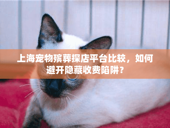 上海宠物殡葬探店平台比较，如何避开隐藏收费陷阱？