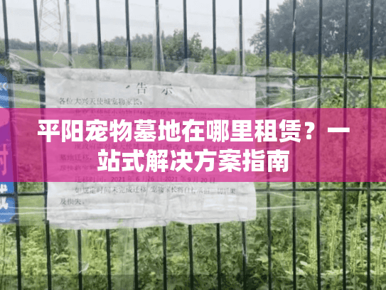 平阳宠物墓地在哪里租赁？一站式解决方案指南