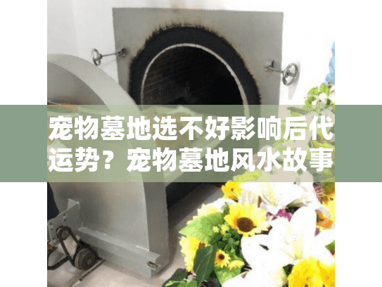 宠物墓地选不好影响后代运势？宠物墓地风水故事大全集教你避坑指南