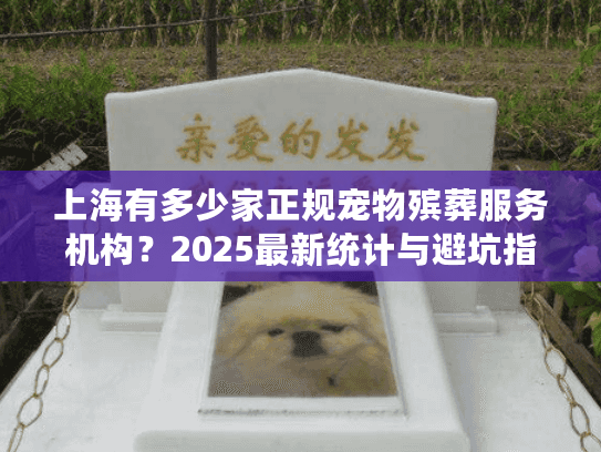 上海有多少家正规宠物殡葬服务机构？2025最新统计与避坑指南