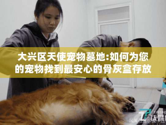 大兴区天使宠物墓地:如何为您的宠物找到最安心的骨灰盒存放服务？