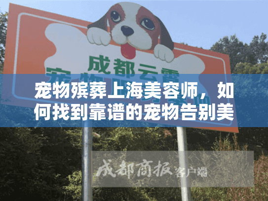 宠物殡葬上海美容师，如何找到靠谱的宠物告别美容服务？