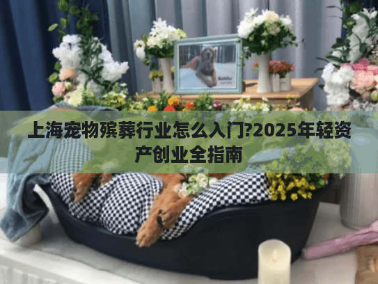 上海宠物殡葬行业怎么入门?2025年轻资产创业全指南