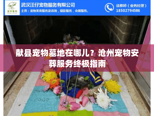 献县宠物墓地在哪儿?沧州宠物安葬服务终极指南 献县宠物墓地在哪儿?沧州宠物安葬服务终极指南