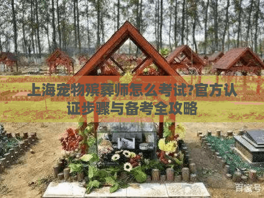 上海宠物殡葬师怎么考试?官方认证步骤与备考全攻略