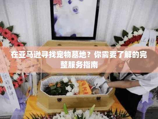 在亚马逊寻找宠物墓地?你需要了解的完整服务指南 在亚马逊寻找宠物墓地?你需要了解的完整服务指南
