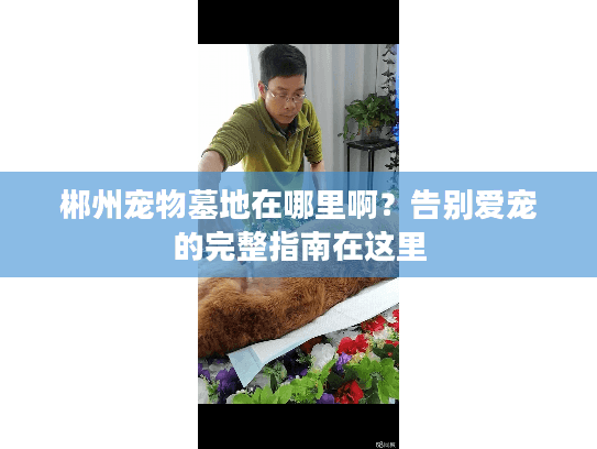 郴州宠物墓地在哪里啊?告别爱宠的完整指南在这里 郴州宠物墓地在哪里啊?告别爱宠的完整指南在这里
