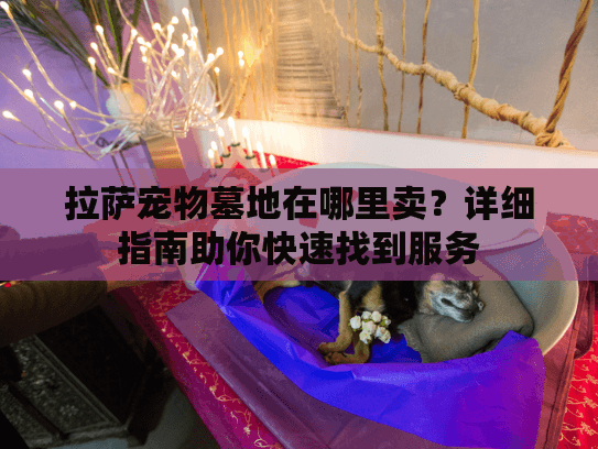 拉萨宠物墓地在哪里卖？详细指南助你快速找到服务