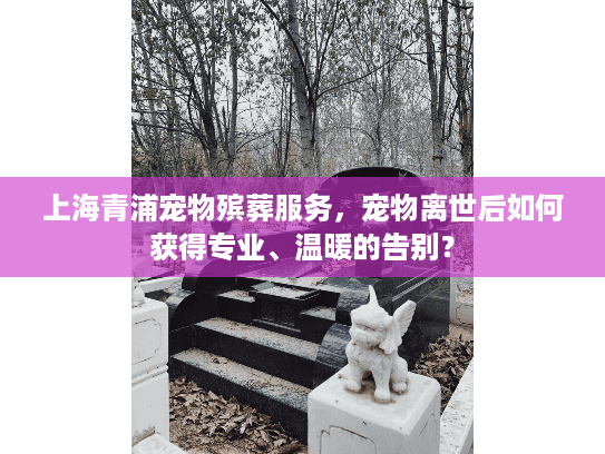 上海青浦宠物殡葬服务，宠物离世后如何获得专业、温暖的告别？