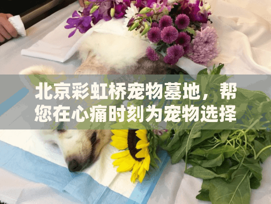 北京彩虹桥宠物墓地，帮您在心痛时刻为宠物选择安心归宿